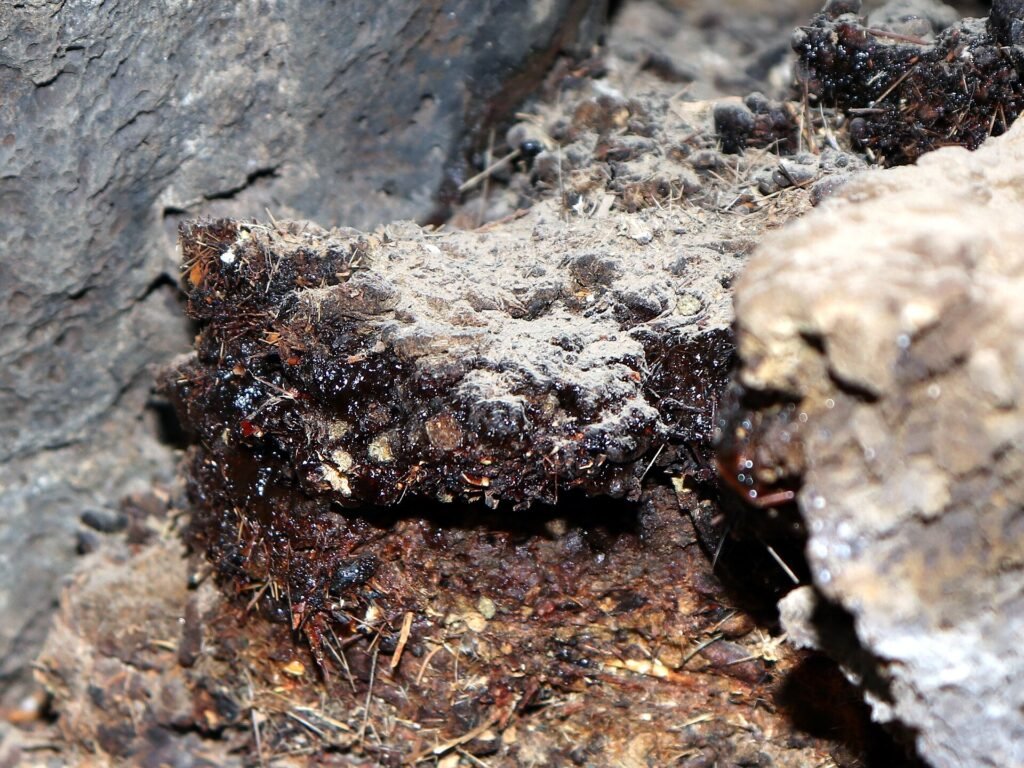 Himalayan Shilajit - Live Good